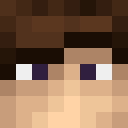 Minecraft skin of HSGMiner